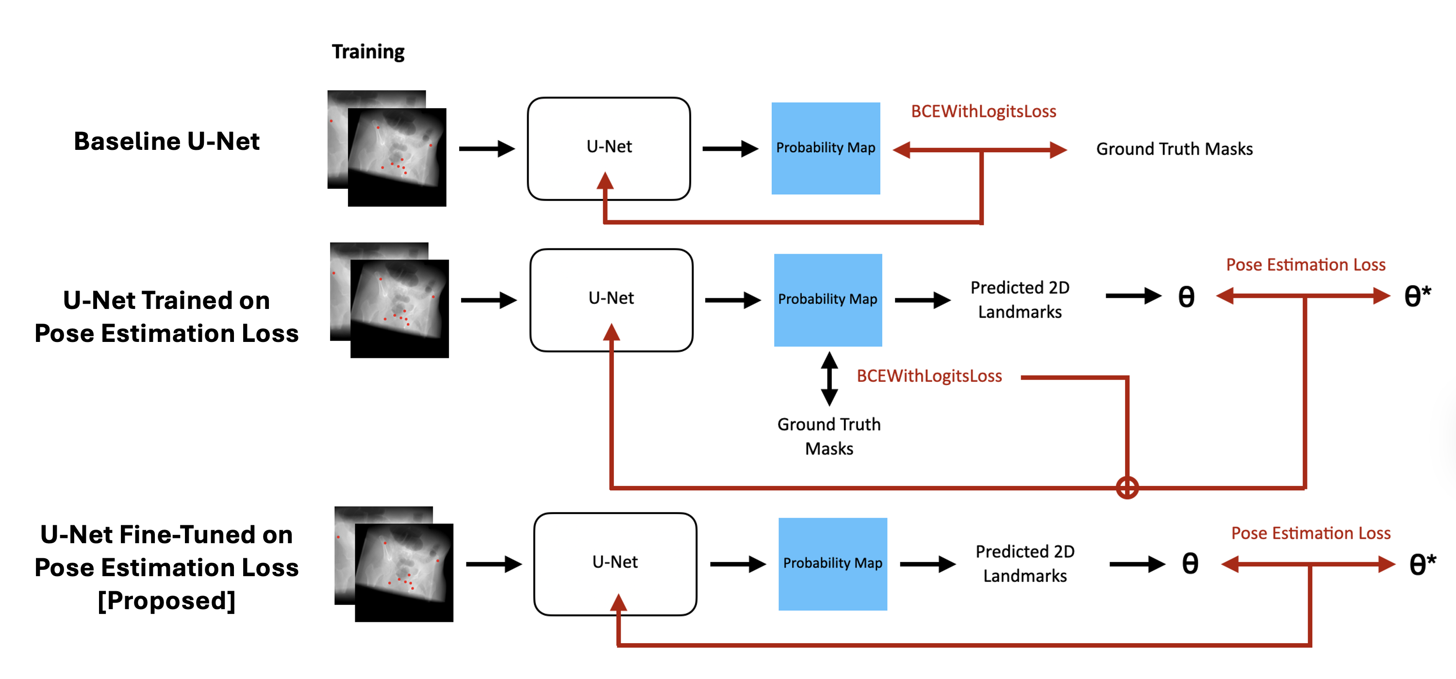 Enhanced Landmark Detection Model in Pelvic Fluoroscopy using 2D/3D Registration Loss
